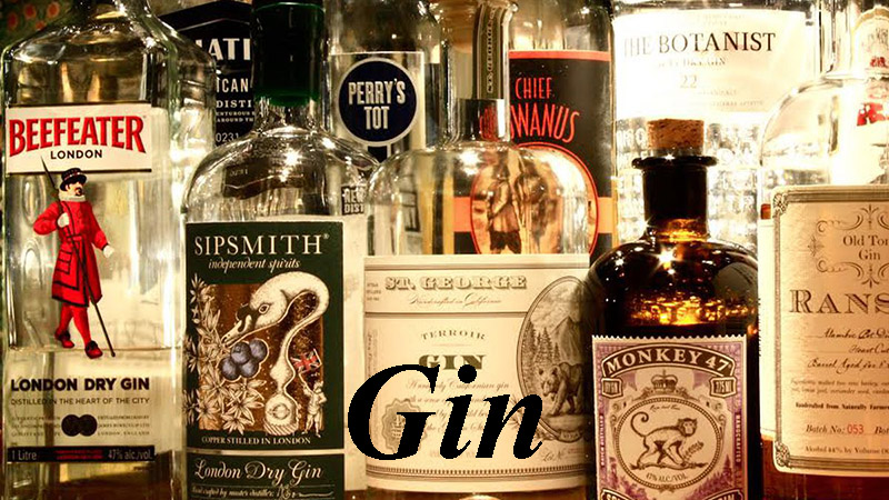 Rượu Gin - nguyên liệu tạo nên những ly cocktail tuyệt hảo 5 ruou_gin