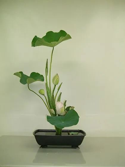 Nghệ thuật cắm hoa Ikebana Nhật Bản - Giữ cho hoa được sống 10 nghe_thuat_cam_hoa_ikebana