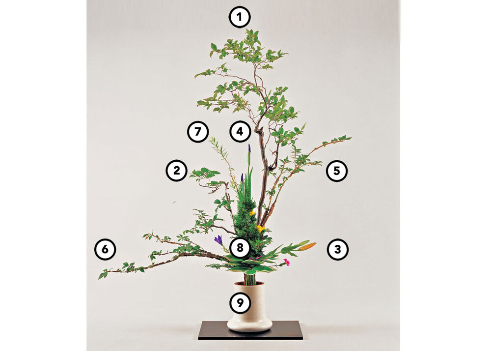 Nghệ thuật cắm hoa Ikebana Nhật Bản - Giữ cho hoa được sống 4 nghe_thuat_cam_hoa_ikebana