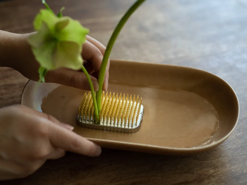 Nghệ thuật cắm hoa Ikebana Nhật Bản - Giữ cho hoa được sống 8 nghe_thuat_cam_hoa_ikebana