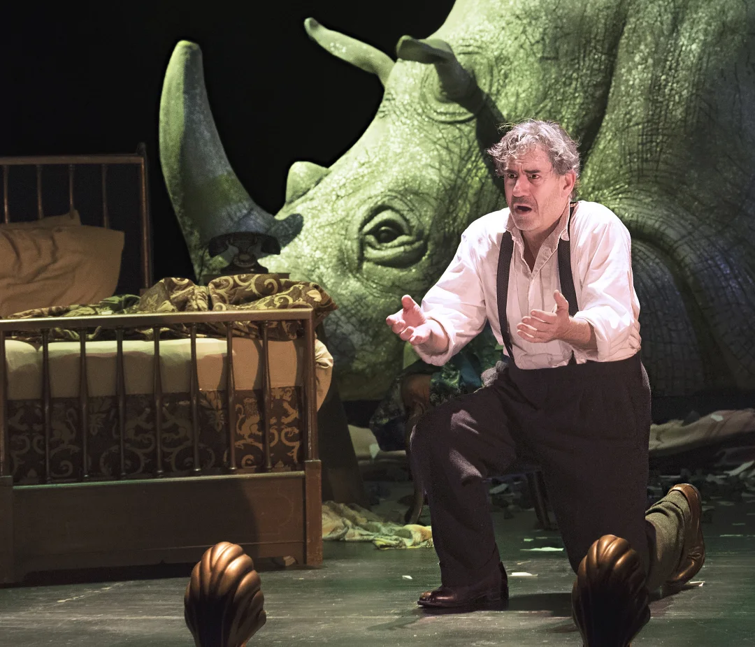 Kịch phi lý: Là kịch hay không phải kịch? 10 te_giac_rhinoceros