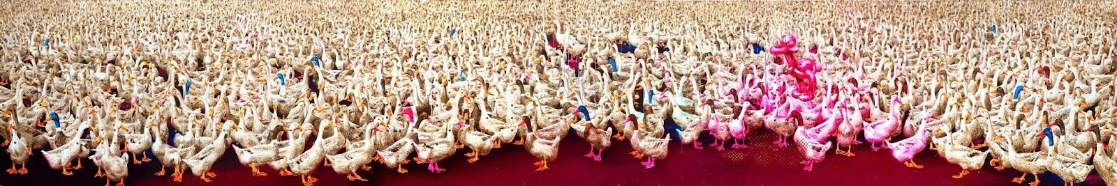 Triển lãm 'Đa Điểm' - Mở rộng đối thoại với công chúng về mẫu hình 7 “Sự di cư của cái tôi” như bảo chứng cho sự riêng biệt của cá nhân trong một tập thể